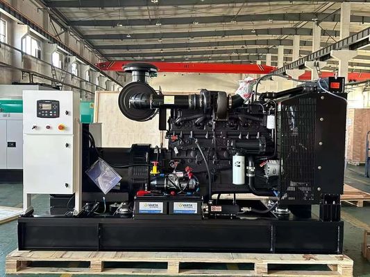 24V DC Electric Start 200KW Original Cummins Diesel Generator Set with Silent Canopy