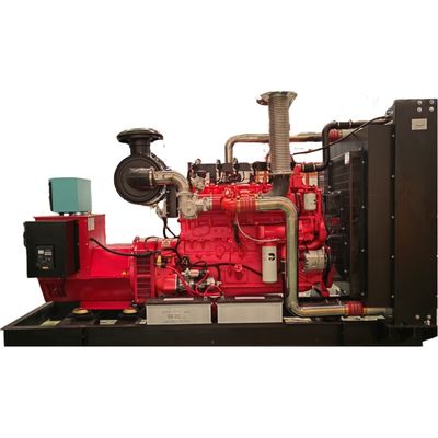 Natural Gas Power Generation Equipment with 800kw 1000KVA Output and Low-Noise Design