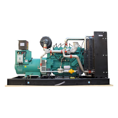 300KW 375kva Natural Gas Generator with 180A Rated Current and 50HZ/60HZ Frequency